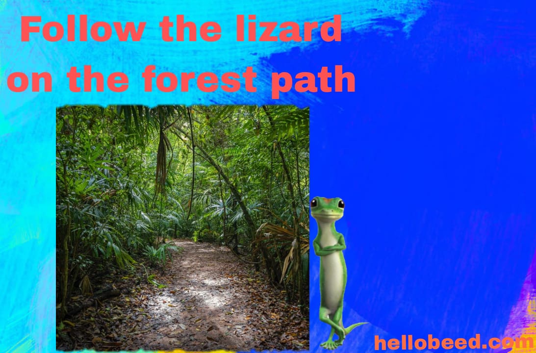 Story of Follow The Lizard On The Forest Path in Marathi